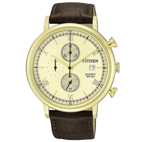 ĐỒNG HỒ CITIZEN AN3612-09P
