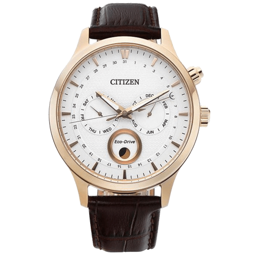 ĐỒNG HỒ CITIZEN AP1052-00A