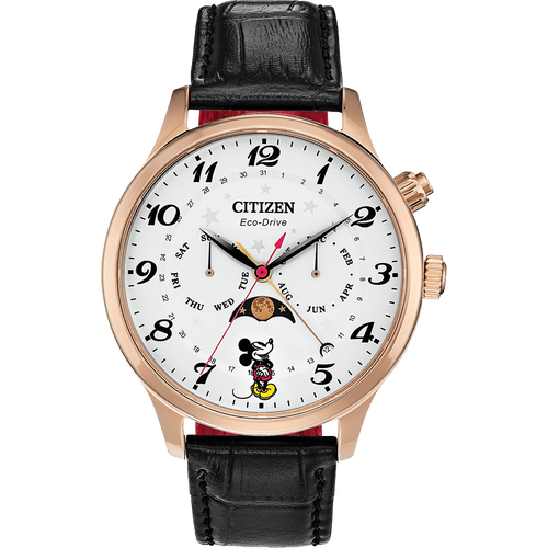 ĐỒNG HỒ CITIZEN AP1053-15W