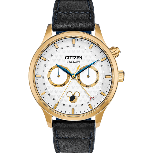 ĐỒNG HỒ CITIZEN AP1058-11W