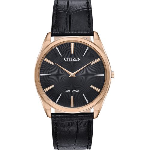 ĐỒNG HỒ CITIZEN AR3073-06E
