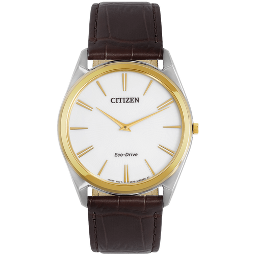 ĐỒNG HỒ CITIZEN AR3074-03A