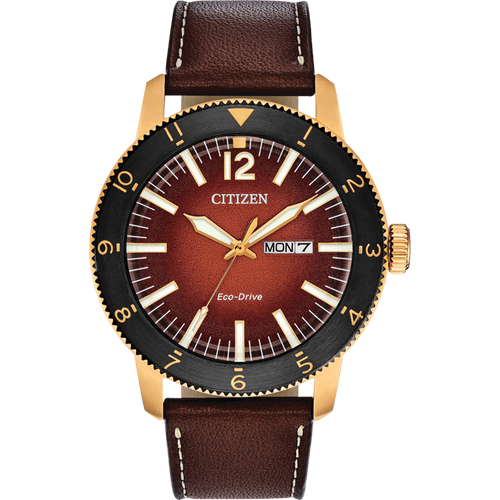 ĐỒNG HỒ CITIZEN AW0076-03X