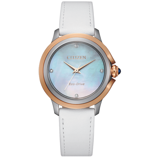 ĐỒNG HỒ CITIZEN EM0796-08Y