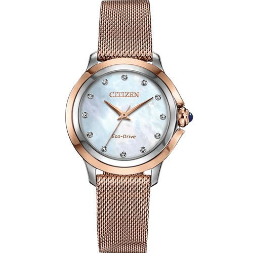 ĐỒNG HỒ CITIZEN EM0796-75D