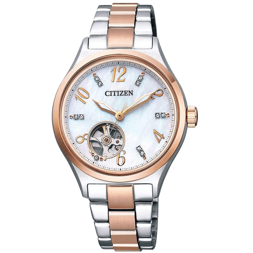 ĐỒNG HỒ CITIZEN PC1006-84D